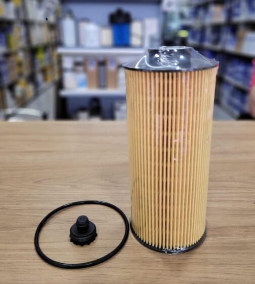 FILTRO DE OLEO LUBRIFICANTE FH/FM (D13K) EURO 6